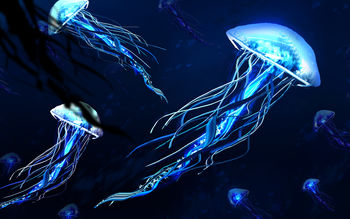 Jellyfishes 4K screenshot
