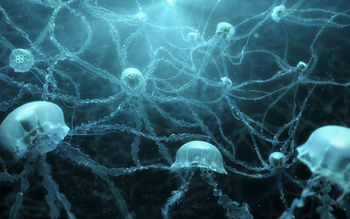 Jellyfishes HD 4K screenshot