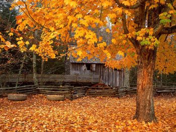 John Cable Mill Cades Cove Great Smoky Mountains National Park Tennessee screenshot