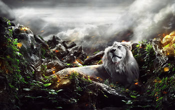 Jungle Lion screenshot