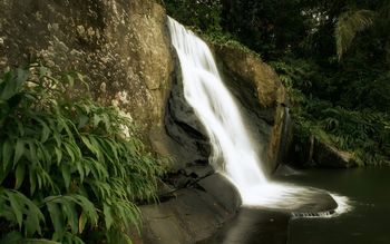 Jungle Waterfall screenshot