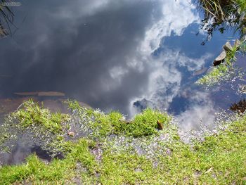 Jura Etang De La Gruere Reflection screenshot