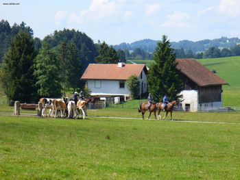 Jura Horse Riding screenshot