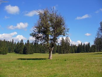 Jura Landscape screenshot