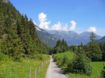 Kandersteg Track Road screenshot