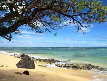 Kanenelu Beach Oahu Hawaii screenshot