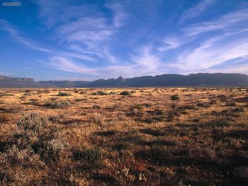 Karoo National Park South Africa screenshot