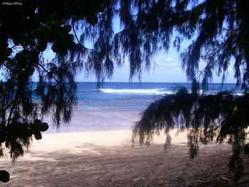 Kauai Kee Beach Arrival screenshot