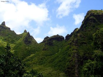Kauai Limahuli Looking Up screenshot