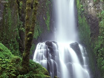 Kentucky Falls Siuslaw National Forest Oregon screenshot
