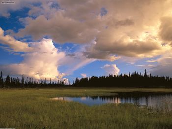 Kettle Pond Interior Alaska screenshot