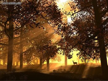 Khamega Abstract Sunset Forrest screenshot
