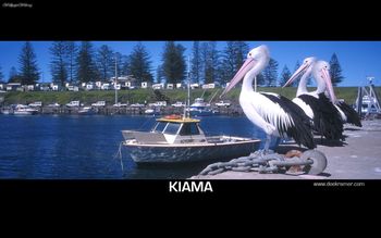 Kiama screenshot