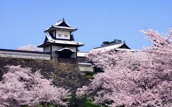 Kiyomizu-dera Temple, Japan screenshot