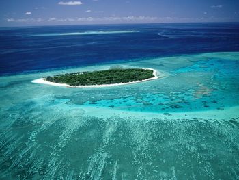 Lady Musgrave Island, Great Barrier Reef screenshot