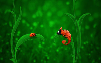 Ladybug Chameleon screenshot