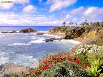 Laguna Flowers Laguna Beach California screenshot