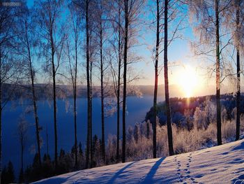 Lake Fryken Varmland Sweden screenshot