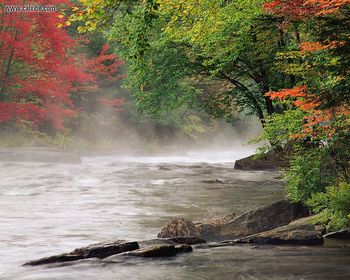 Lake Shoreat Autumn screenshot