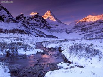 Lake Snow Mountain Pure Snowand Alpine Glow Mount Assiniboine British Columbia screenshot