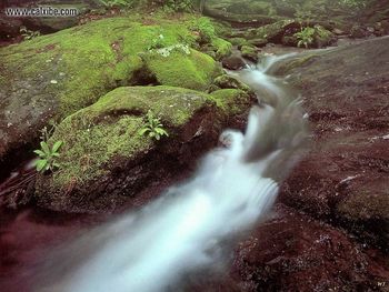 Landscape Cascade In Dark Hallow screenshot