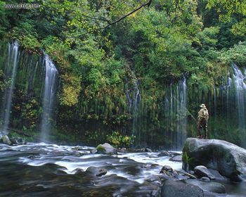 Landscape Mossbrae Falls screenshot