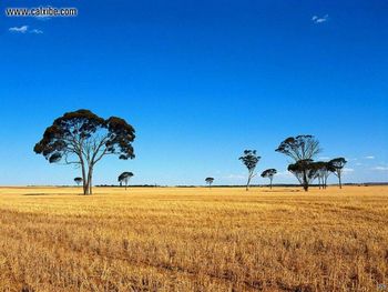 Landscape Perth screenshot