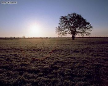 Landscape screenshot