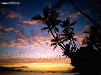 Landscapes Afterglow Hawaii screenshot
