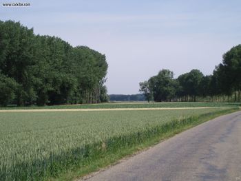 Landscapes Field With Road screenshot