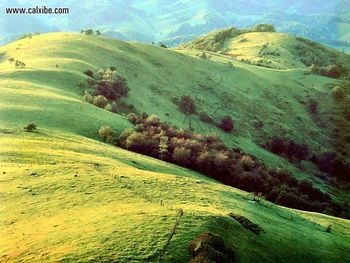 Landscapes Smooth Shoulder Ridge Tennessee screenshot