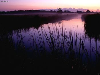 Landscapes The Waterfront At The Lake screenshot