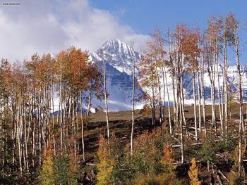 Landscapes Wilson Peak San Juan Range Colorado screenshot