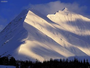 Landscpaes Whispering Mountain Summit Lake Kenai Alaska screenshot