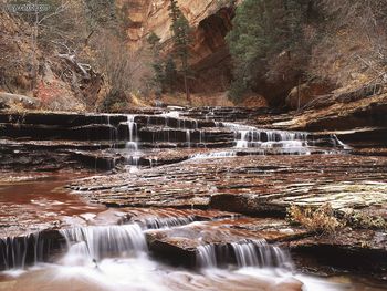 Left Fork Of North Creek Zion National Park Utah screenshot