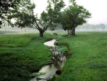 Leipers Fork Tennessee screenshot