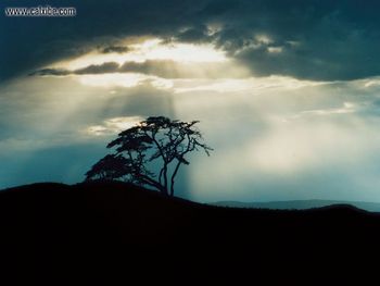 Light Break Through screenshot