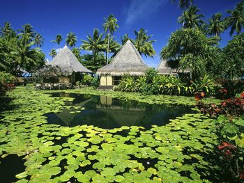 Lily Pads And Thatched Huts, Tahiti, French Polynesia screenshot
