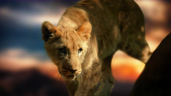 Lion Cub screenshot