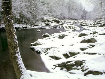 Little Pigeon River Great Smoky Mountains National Park Tennessee screenshot