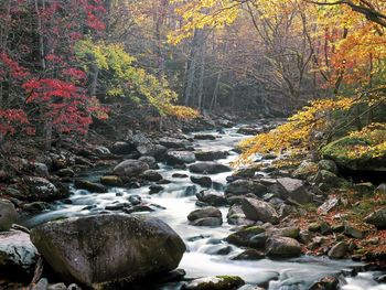 Little River, Tremont, Great Smoky Mountains National Park, Tennessee screenshot