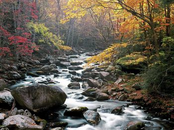 Little River, Tremont, Great Smoky Mountains National Park, screenshot