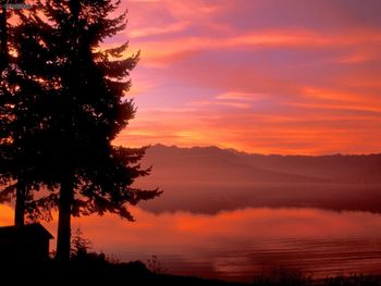 Living Waters Hood Canal Washington screenshot