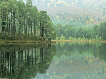 Loch An Eilein Scotland screenshot