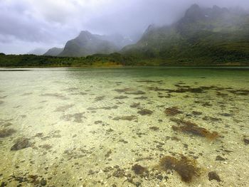 Lofoten, Norway screenshot