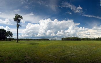 Lonely Tree And Clouds screenshot