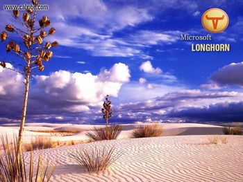 Longhorn New Style screenshot