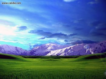 Longhorn With Snowy Mountains screenshot