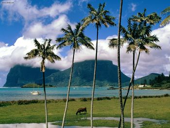 Lord Howe Island Australia screenshot