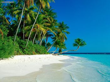 Lost In Paradise screenshot